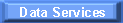 Data Services Provided by STI
