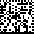 2D Direct Marks